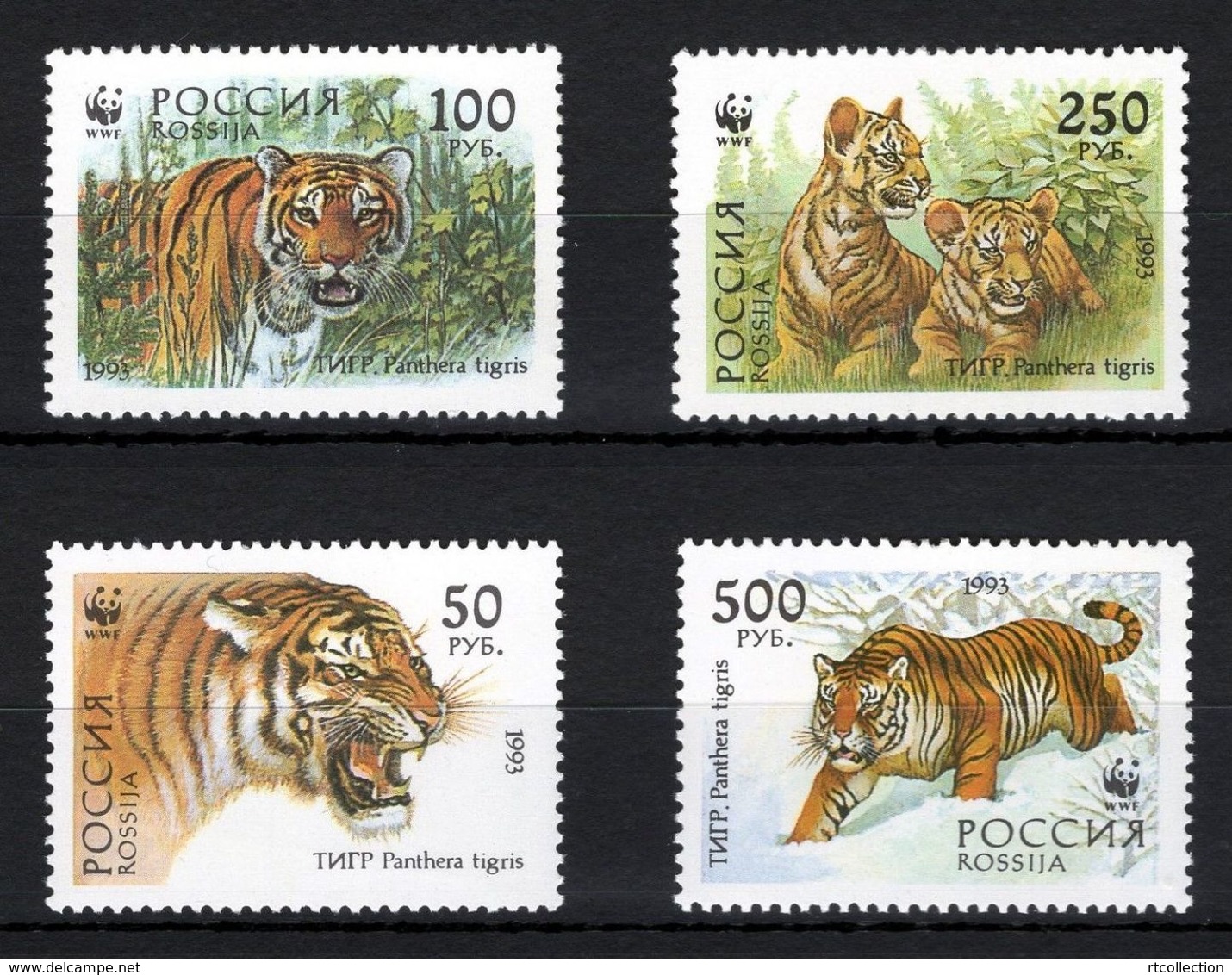 Russia 1993 WWF Siberian Tiger Animals Tigers Animal Panthera Fauna Mammals Big Cats Stamps MNH Mi 343-346 Sc 6178-6181 - Big Cats (cats Of Prey)