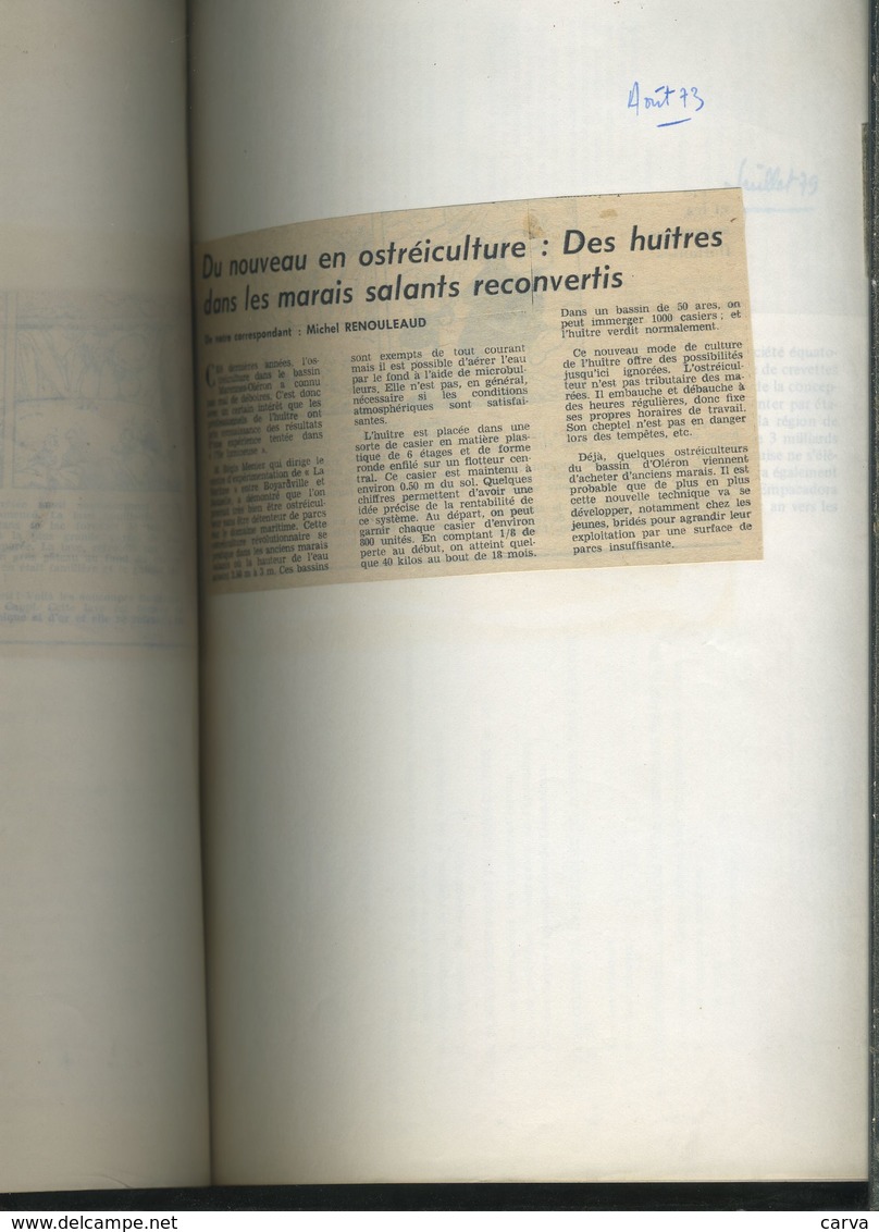Etude Sur La Mytiliculture, Ostréiculture, Conchyliculture, Aquaculture, Saumon, Huîtres, Coquille Saint Jacques, Moules - Bretagne