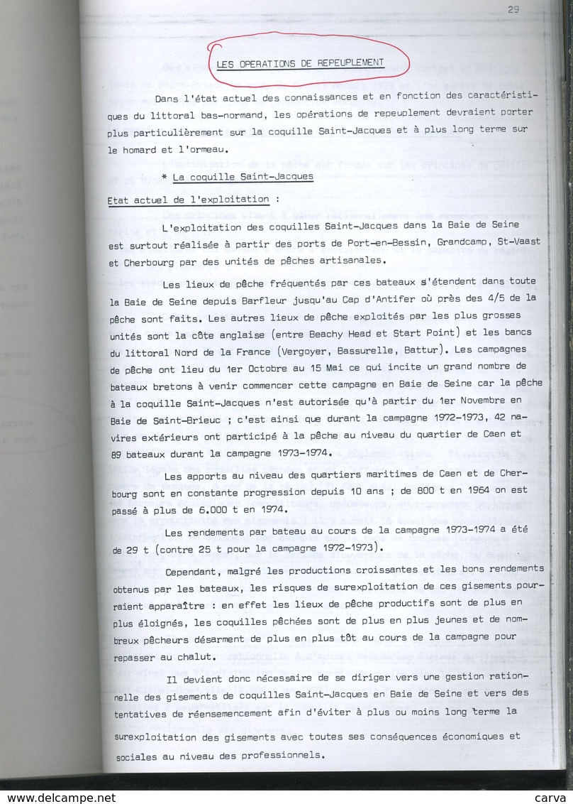 Etude sur la Mytiliculture, Ostréiculture, Conchyliculture, Aquaculture, Saumon, Huîtres, Coquille saint jacques, moules