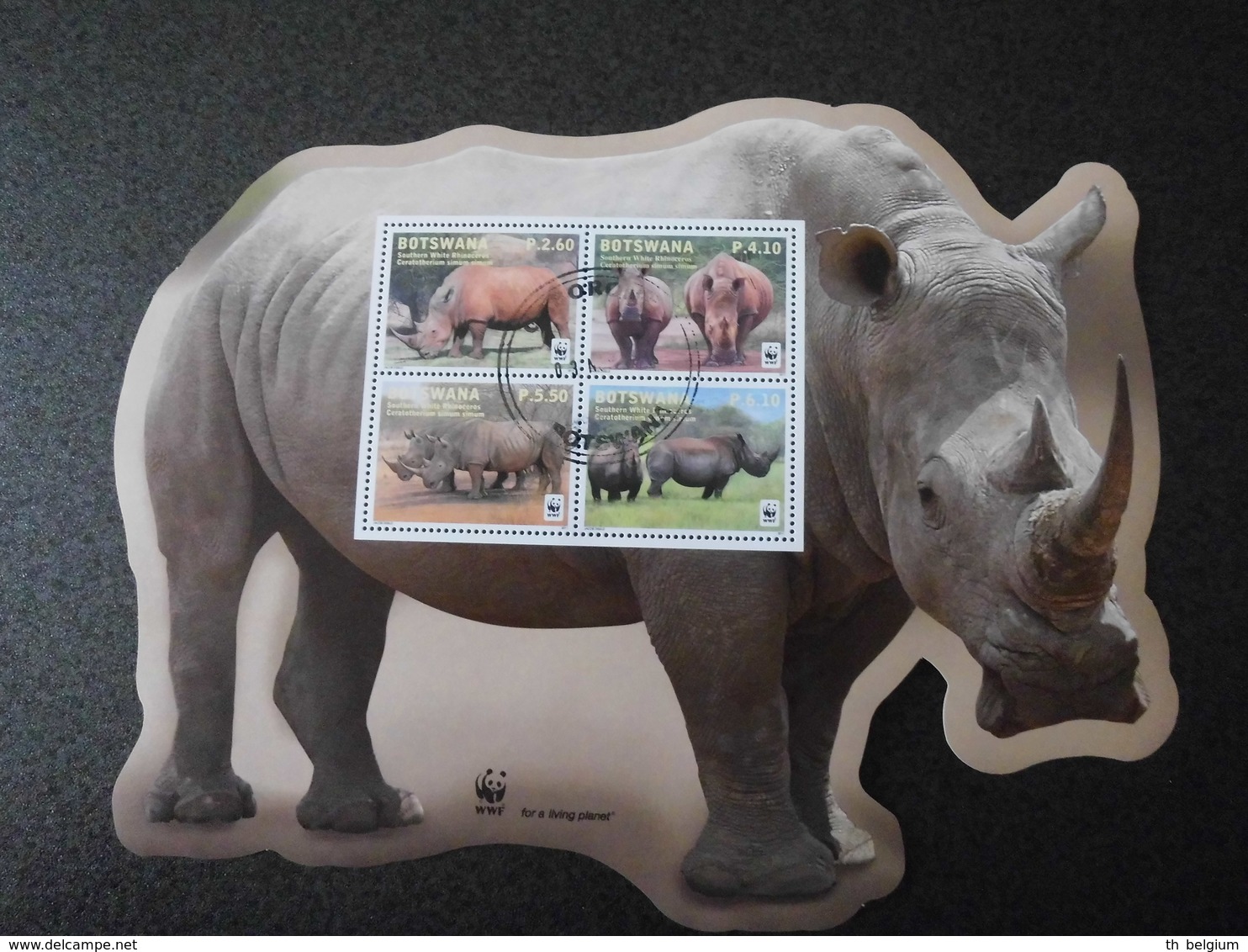 Botswana 2011 - Southern White Rhinoceros S/S - Oblitérés