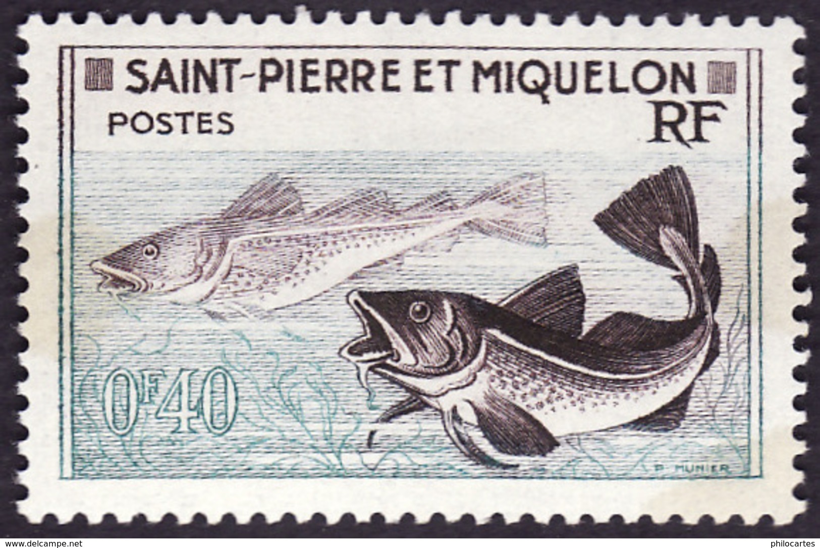 Saint Pierre Et Miquelon  1957 -   Y&T 353  -  Morues - NEUF** - Neufs