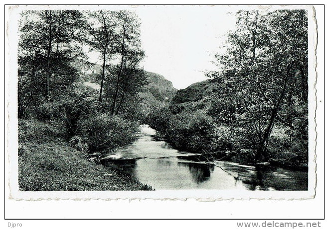 Barvaux   Sortie  De L'ourthe - Durbuy