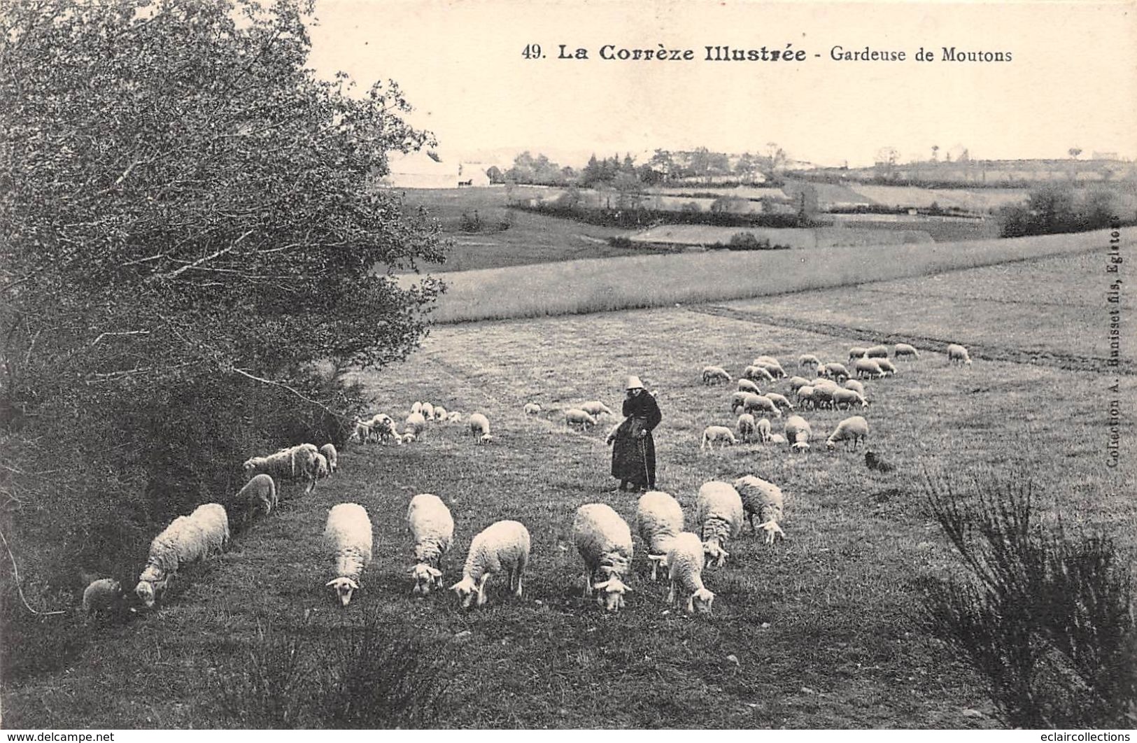 Corrèze Illustrée    19        Gardeuse De Moutons    (voir Scan) - Andere & Zonder Classificatie