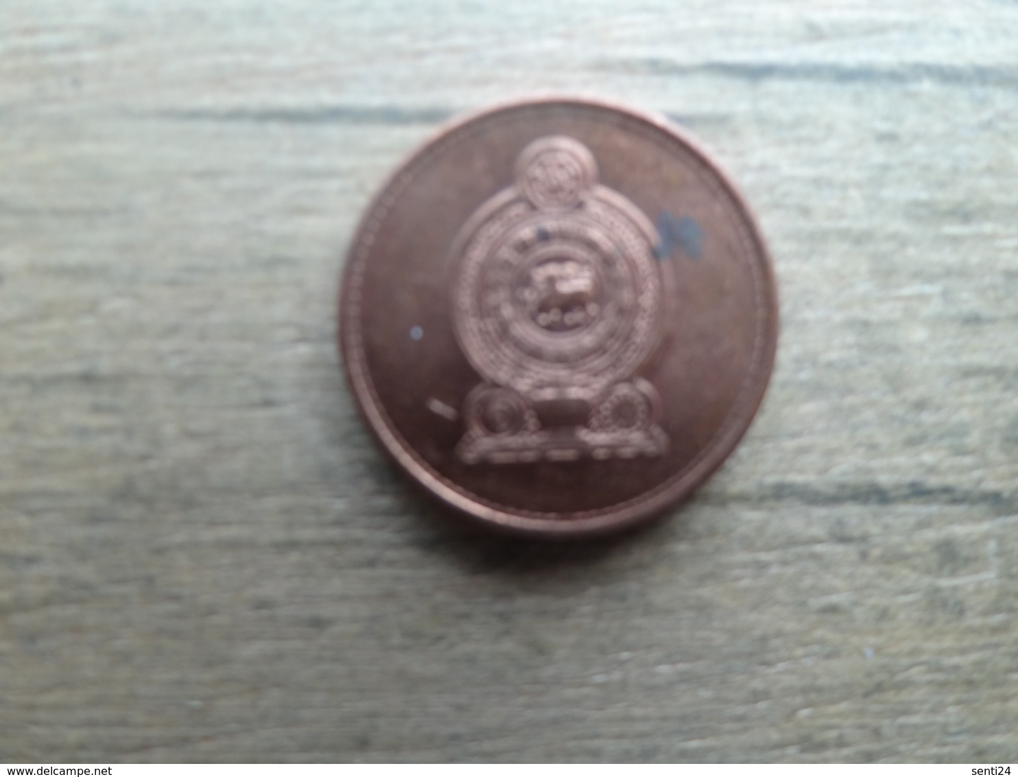 Sri Lanka  50  Cents  2005  Km 135 - Sri Lanka