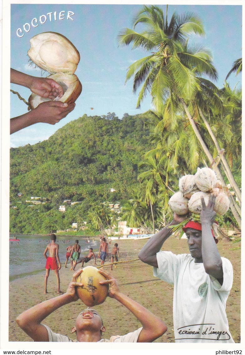 Mayotte. Le Cocotier Nourricier. - Mayotte