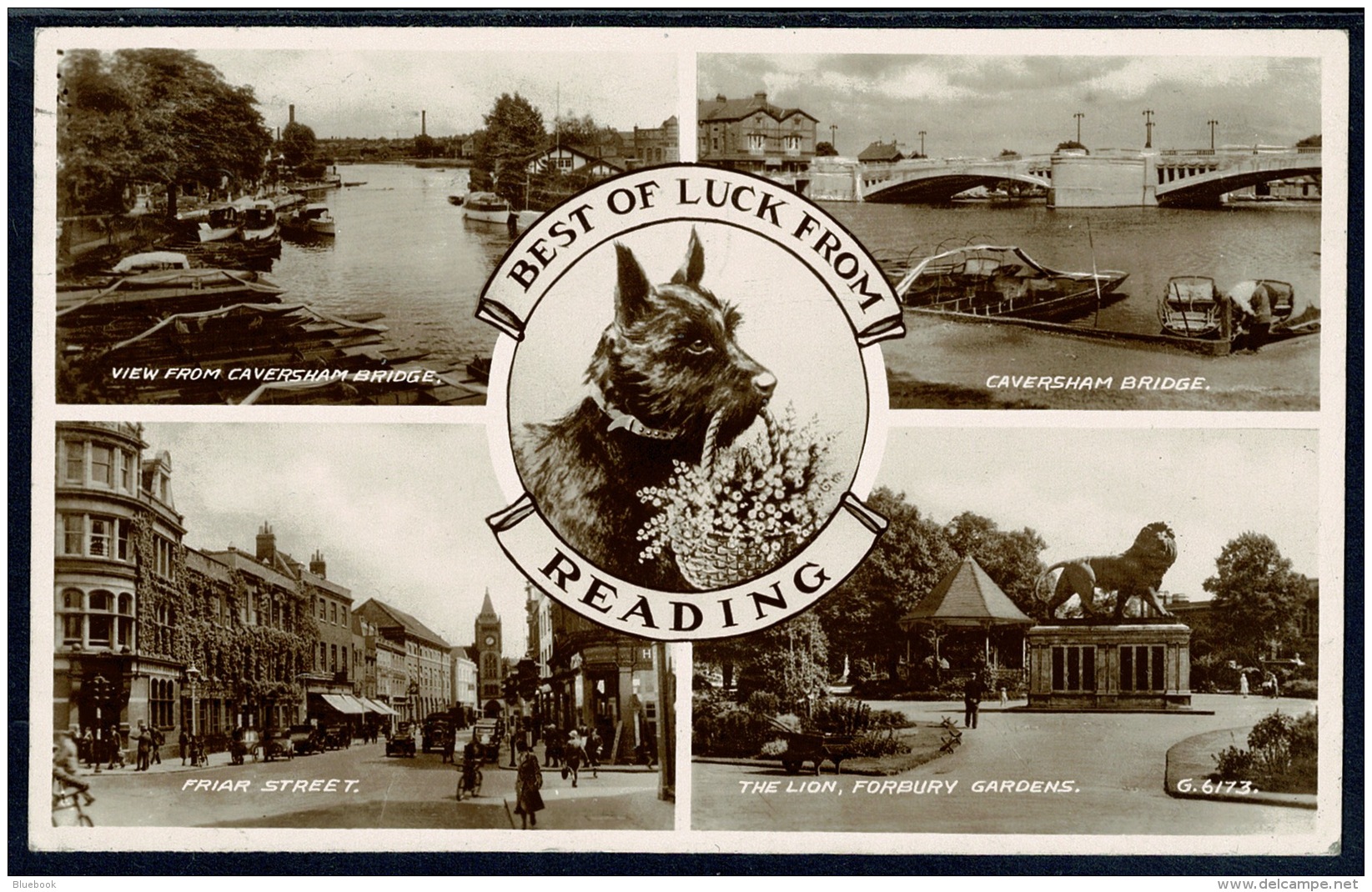 RB 1186 - 1940 Real Photo Scottie Dog Postcard - Reading Berkshire - Friar Street &amp; Others - Reading
