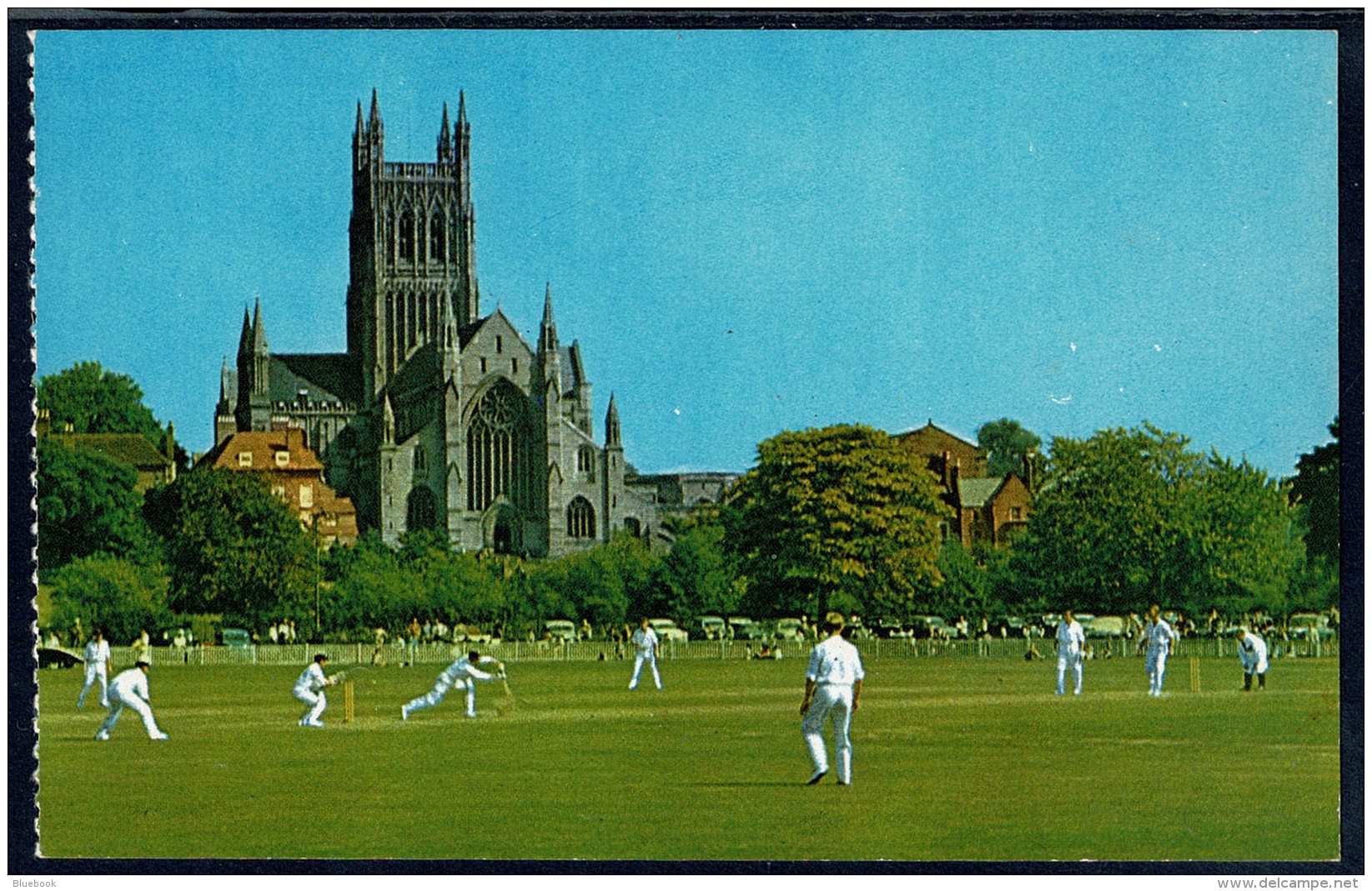 RB 1186 -  Sports Postcard - Cricket Match Overlooking Worcester Cathedral Worcestershire - Other & Unclassified
