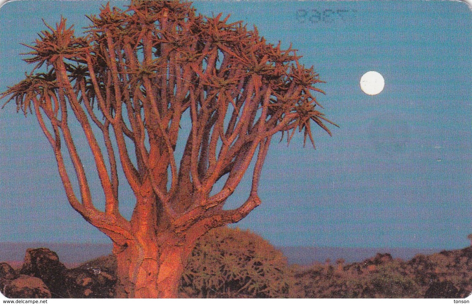 Namibia, NMB-075, Sunset 2, Sunset In The South 2, 2 Scans. - Namibie