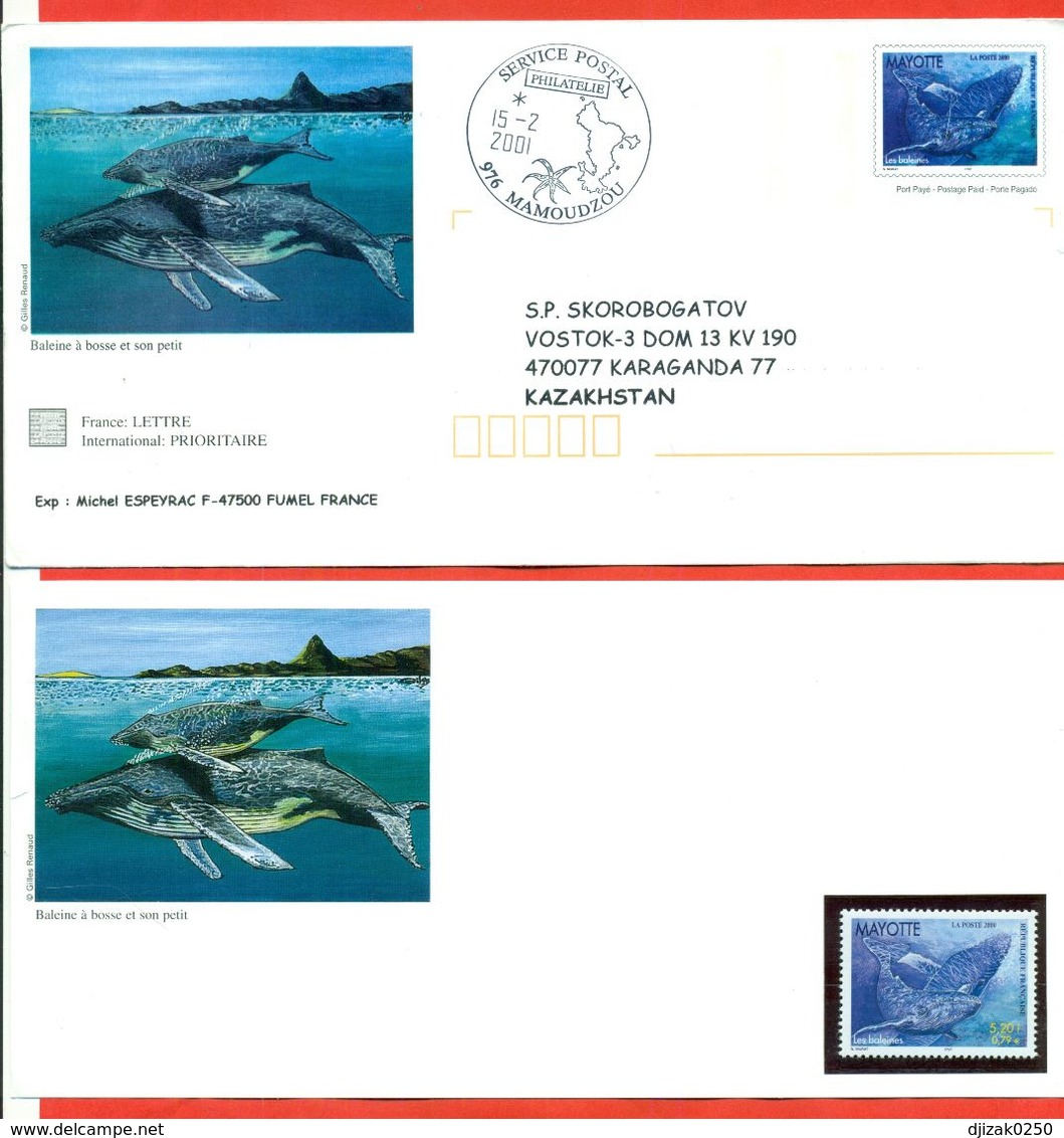 Whalles. Mayotte 2000. Envelope With Stamped Stamp And Clean Stamp.The Envelope Actually Passed The Mail. - Whales