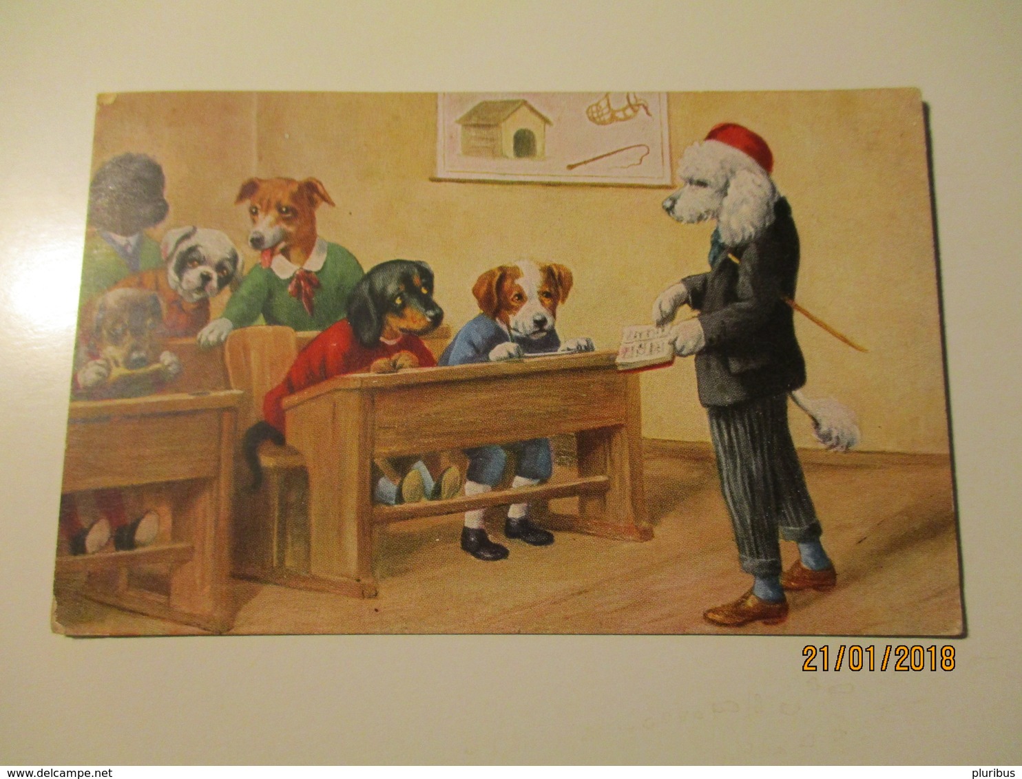 DRESSED DOGS AT SCHOOL   , THIELE ?? , HUNGARY ,  OLD POSTCARD , 0 - 1900-1949