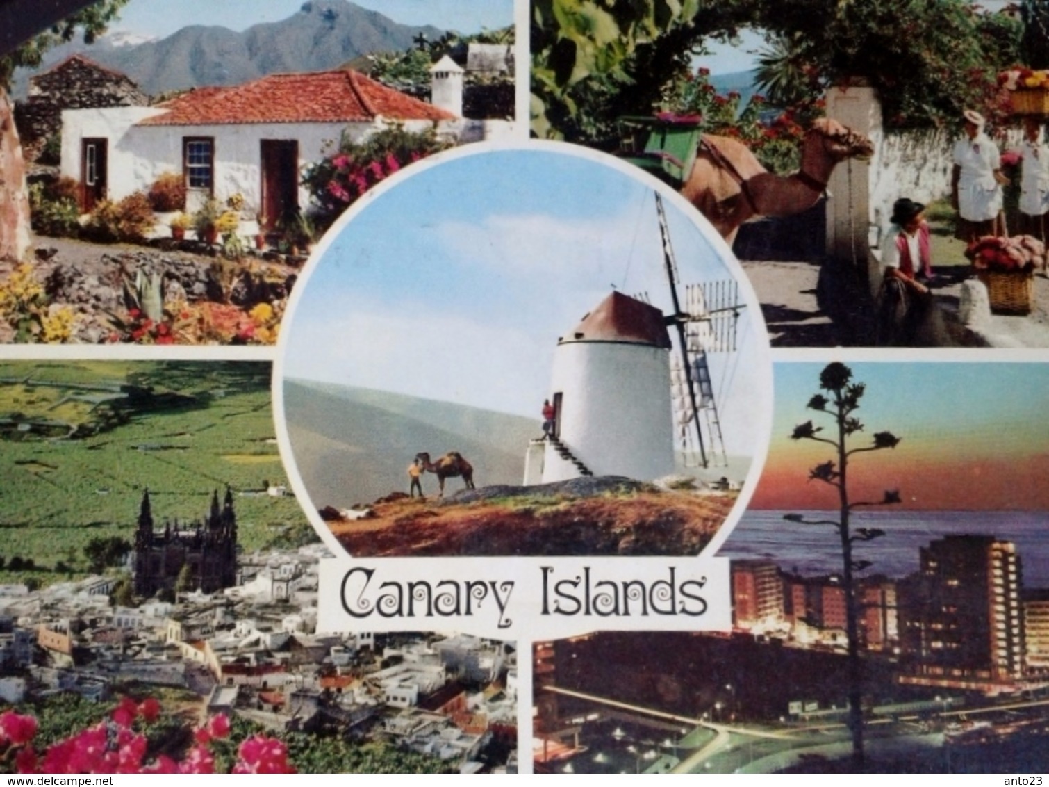 Espagne > Islas Canarias>  CANARY ISLAND CANARIES - Autres & Non Classés