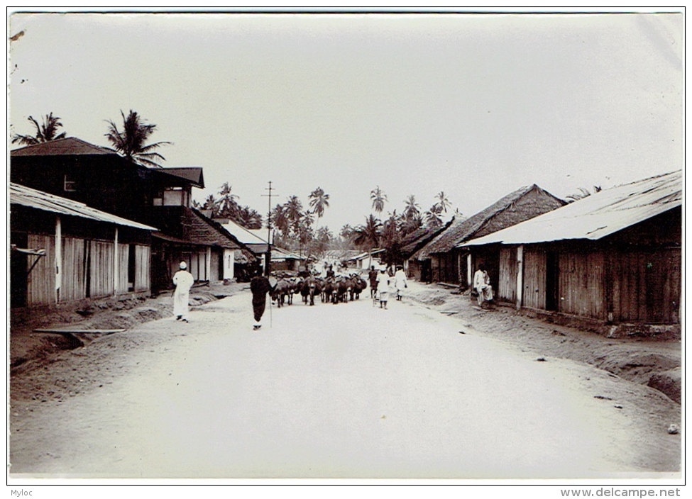 Foto/Ancienne Photo. Tanzanie. Dar-Es-Salaam. Quartier Indigène Et Convoi D'Anes. - Plaatsen