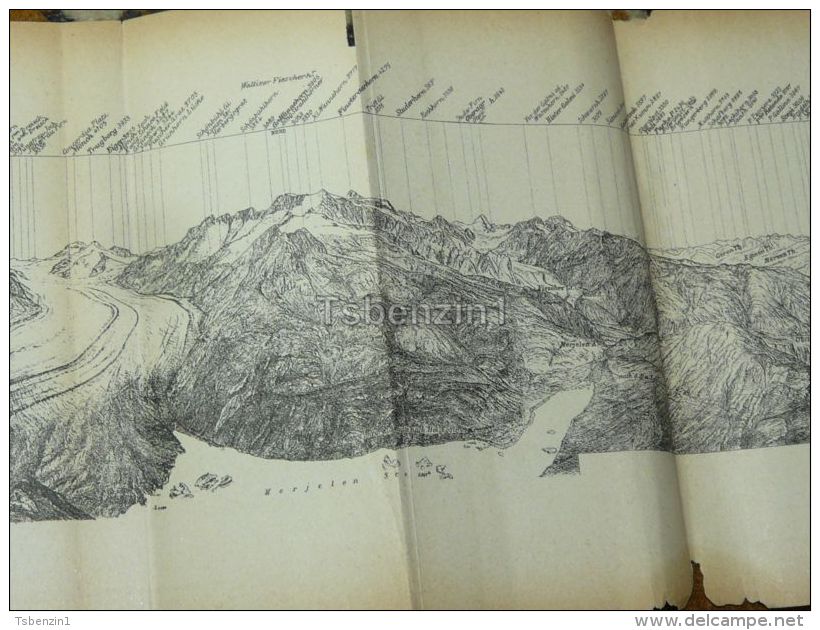 Panorama Eggishorn Aletsch Gletscher Merjelen See Switzerland Map Karte 1892 - Landkarten