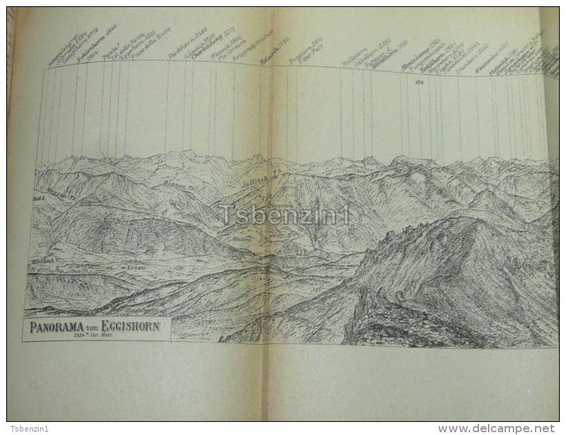 Panorama Eggishorn Aletsch Gletscher Merjelen See Switzerland Map Karte 1892 - Landkarten