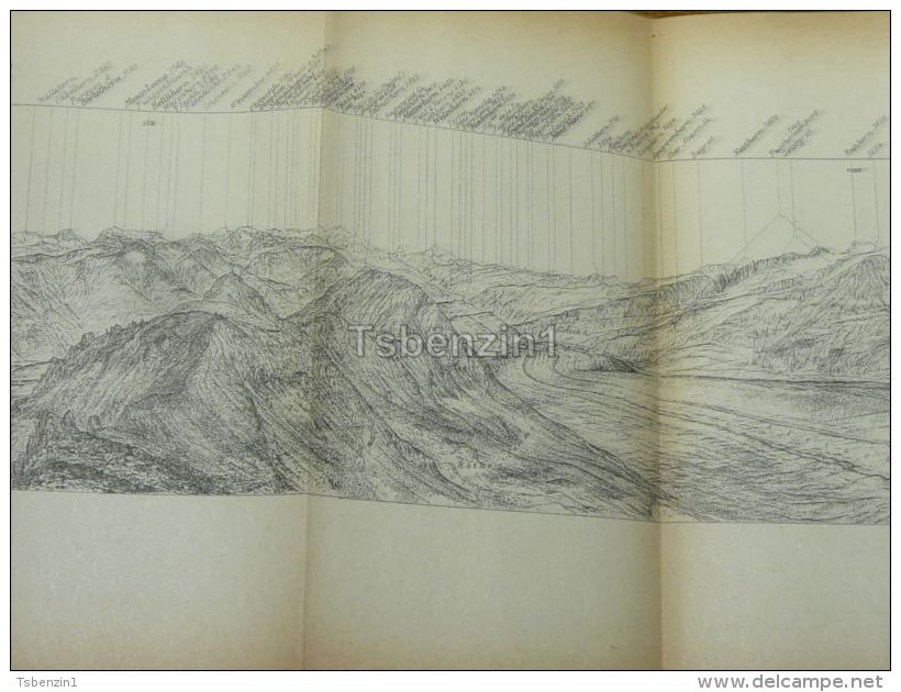 Panorama Eggishorn Aletsch Gletscher Merjelen See Switzerland Map Karte 1892 - Cartes Géographiques