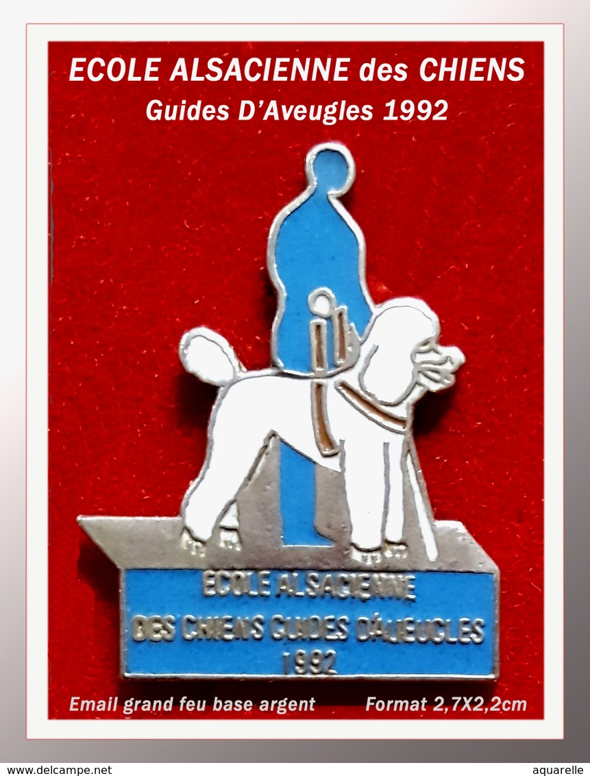 SUPER PIN'S CHIEN-ASSOCIATIONS : Ecole Alsacienne Des CHIENS GUIDES D'AVEUGLES 1992, émail Grand Feu Argent, 2,7X2,2cm - Tiere