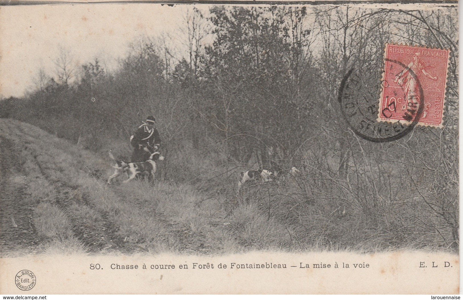 77 - FONTAINEBLEAU - Chasse à Courre En Forêt De Fontainebleau - La Mise à La Voie - Fontainebleau