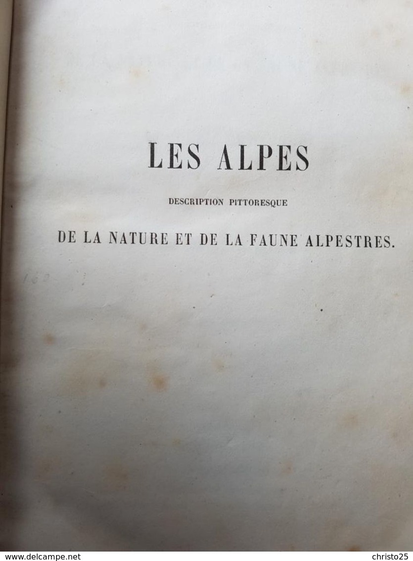 Les Alpes Description Pittoresque De La Nature Et De La Faune Alpestres Frederic De Tschudi 1885 - 1801-1900