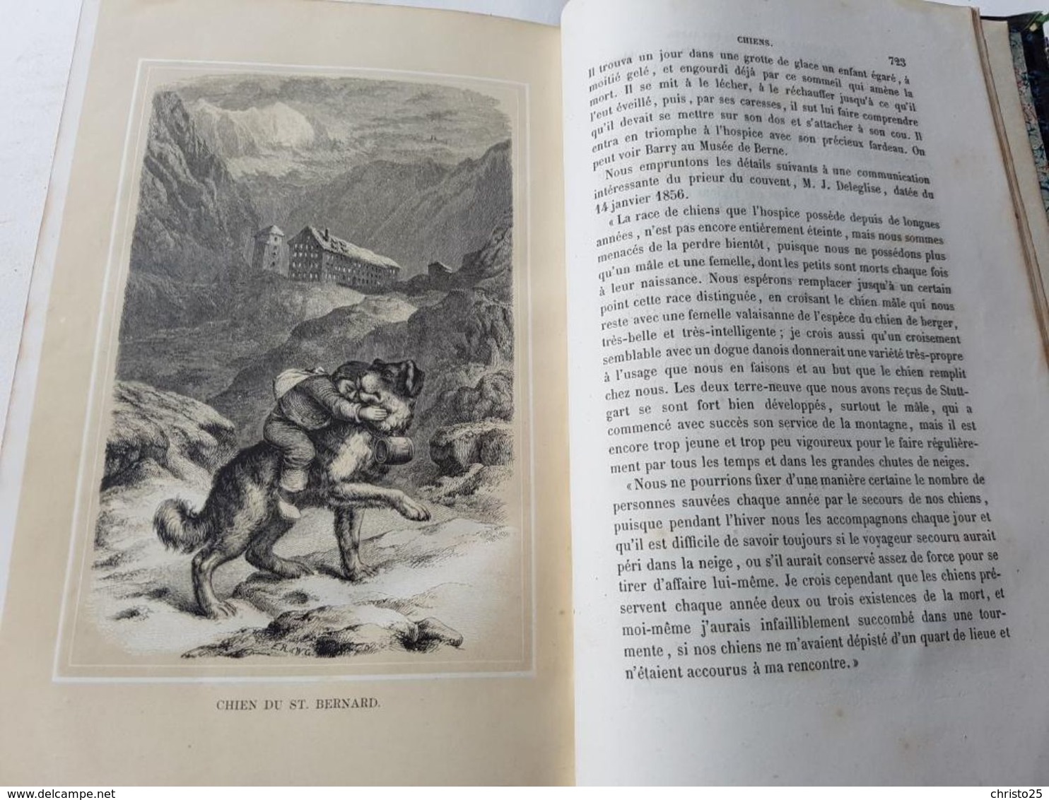 Les Alpes Description Pittoresque De La Nature Et De La Faune Alpestres Frederic De Tschudi 1885 - 1801-1900