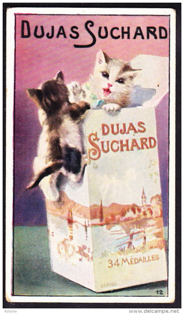 CHROMO Chocolat SUCHARD  Animaux Chats Jouant Cats  Kitty Kitten Serie 159 - Suchard