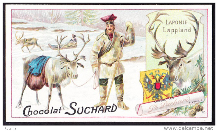 CHROMO Chocolat SUCHARD   Animaux  Laponie Lapland Caribou Rendier  Serie 161 - Suchard