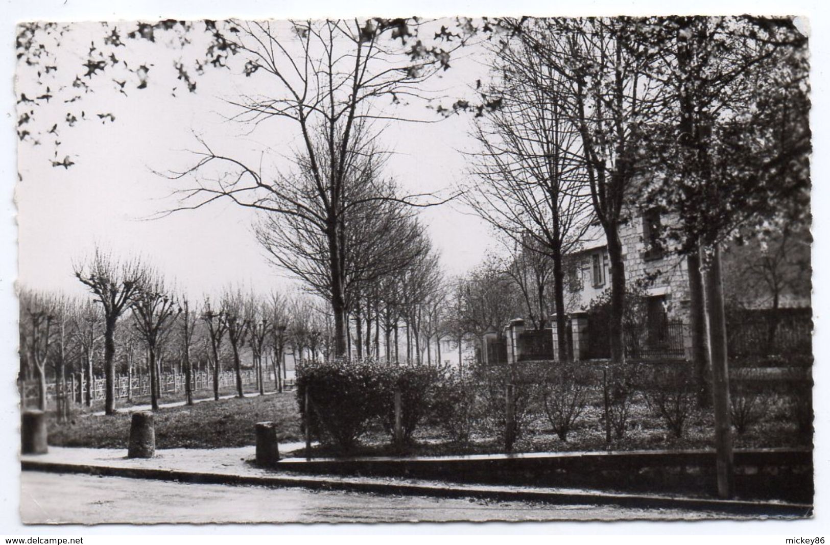 VAILLY SUR AISNE---1958---La Promenade Du Jeu De Paume -- Pas Très Courante - Autres & Non Classés