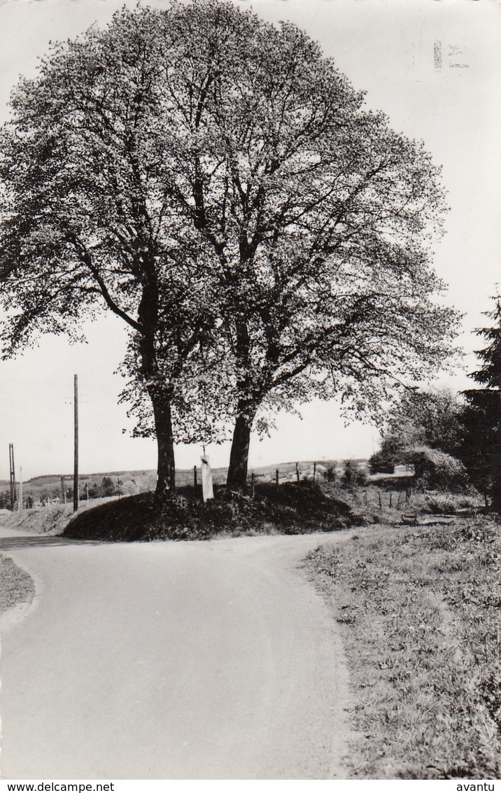 FILOT / HAMOIR / LIEGE / LA CROIX ET VIEUX TILLEULS - Hamoir