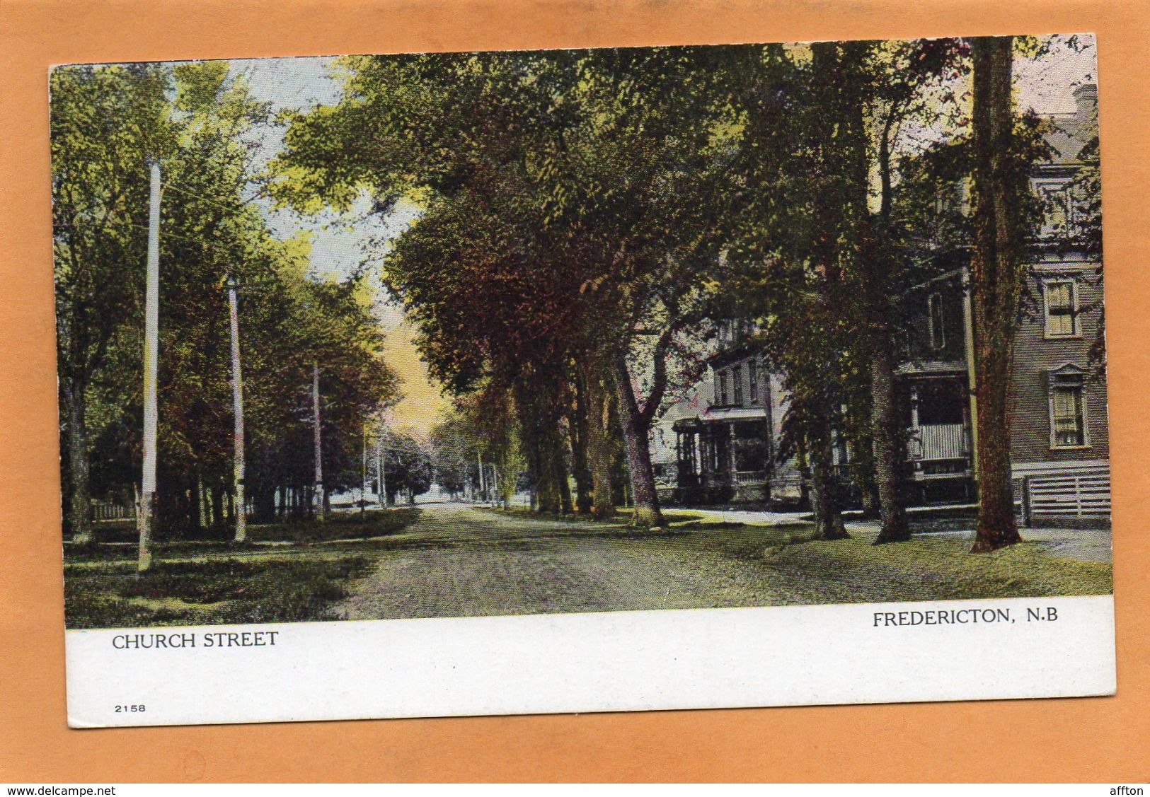 Fredericton NB 1905 Postcard - Fredericton