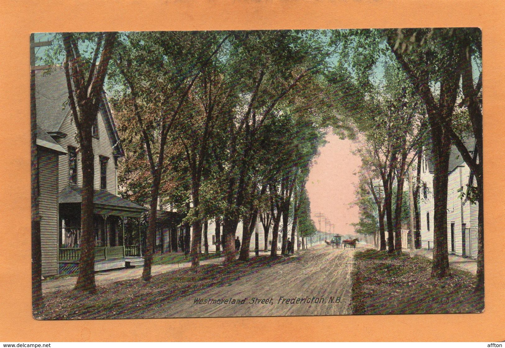 Fredericton NB 1905 Postcard - Fredericton