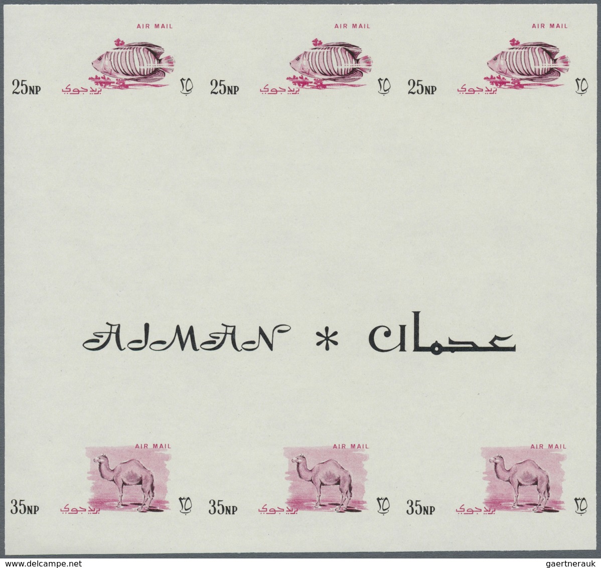 ** Adschman / Ajman: 1965, definitives 'Indigenous fauna' 25np. Regal angelfish and 35np. Dromedary bot