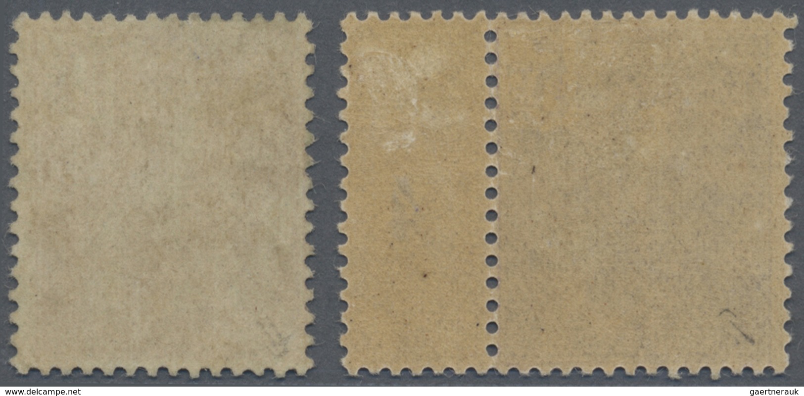 * Französisch-Indochina: 1904 Definitives 5fr. And 10fr., Mint Lightly Hinged, The 5fr. With Gutter (n - Brieven En Documenten