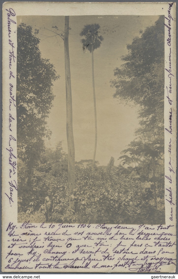 Br Französisch-Indochina: 1904. Photographie Card Of 'Palms At Basai Lake' Addressed To France Bearing - Brieven En Documenten