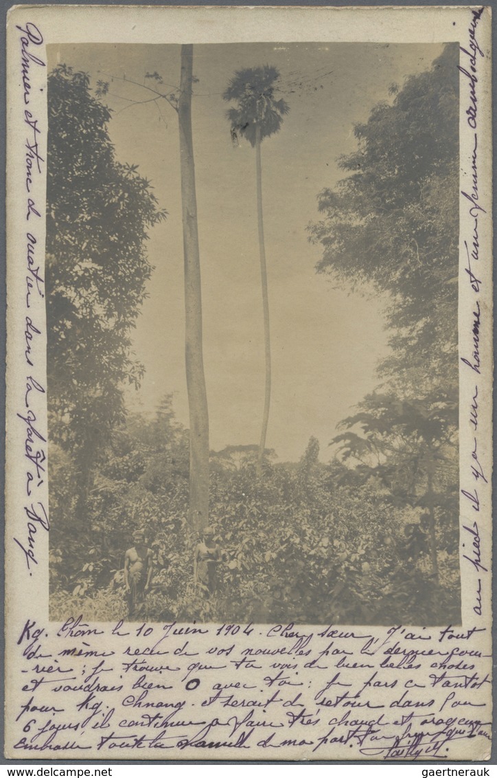 Br Französisch-Indochina: 1904. Photographie Card Of 'Palms At Basai Lake' Addressed To France Bearing - Covers & Documents