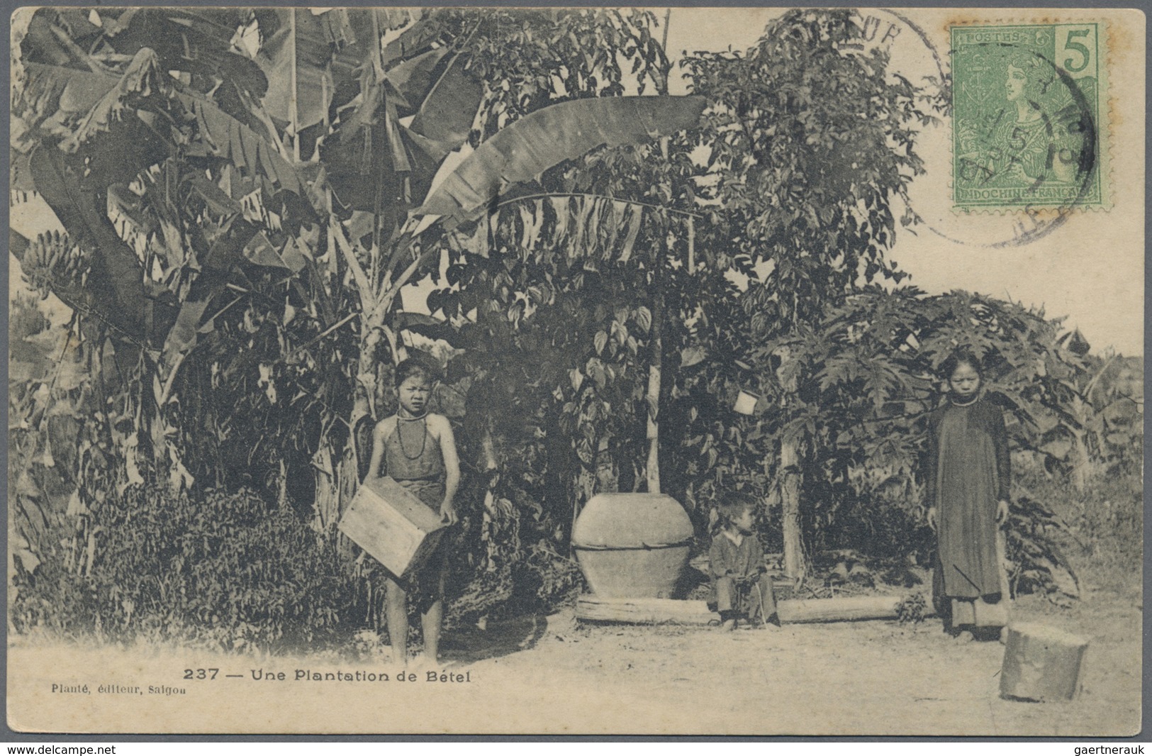 Br Französisch-Indochina: 1907. Picture Post Card Of 'Betel Plantation, Saigon' Addressed To France Bea - Brieven En Documenten