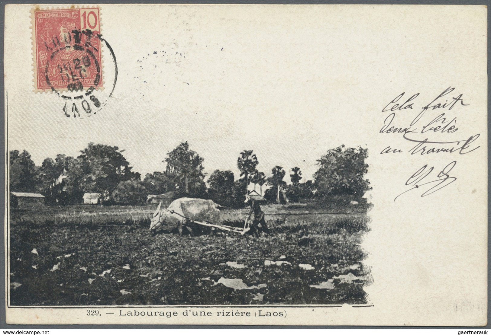 Br Französisch-Indochina: 1907. Picture Post Card Of 'Buffalo In The Rice Fields, Laos' Addressed To Fr - Brieven En Documenten
