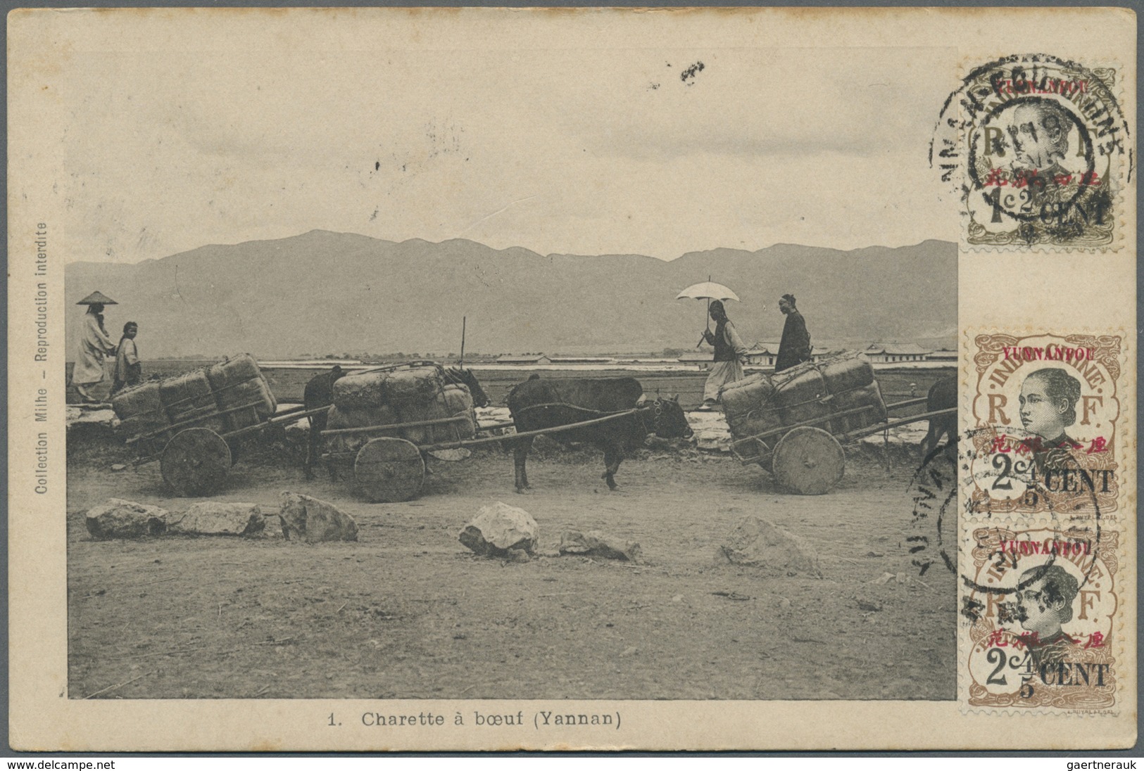 Br Französisch-Indochina - Postämter In Südchina: Yunnan, 1921. Picture Post Card Of 'Buffalo Train, Yu - Other & Unclassified