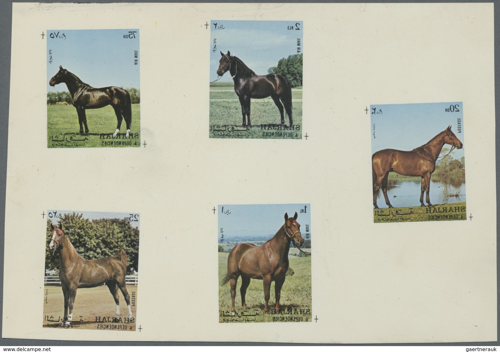 (*) Schardscha / Sharjah: 1972, Horses, Complete Set Of Five Values And The Souvenir Sheet, Two Mirror-i - Sharjah