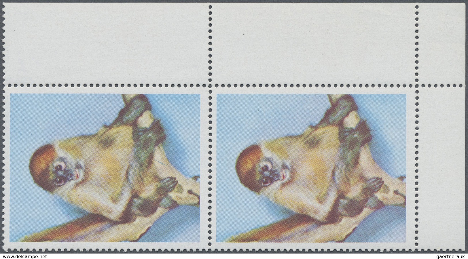 ** Schardscha / Sharjah: 1972, Monkey 20dh. 'Rhesus Monkey' Perf. Vert. Pair From Lower Right Corner Wi - Sharjah