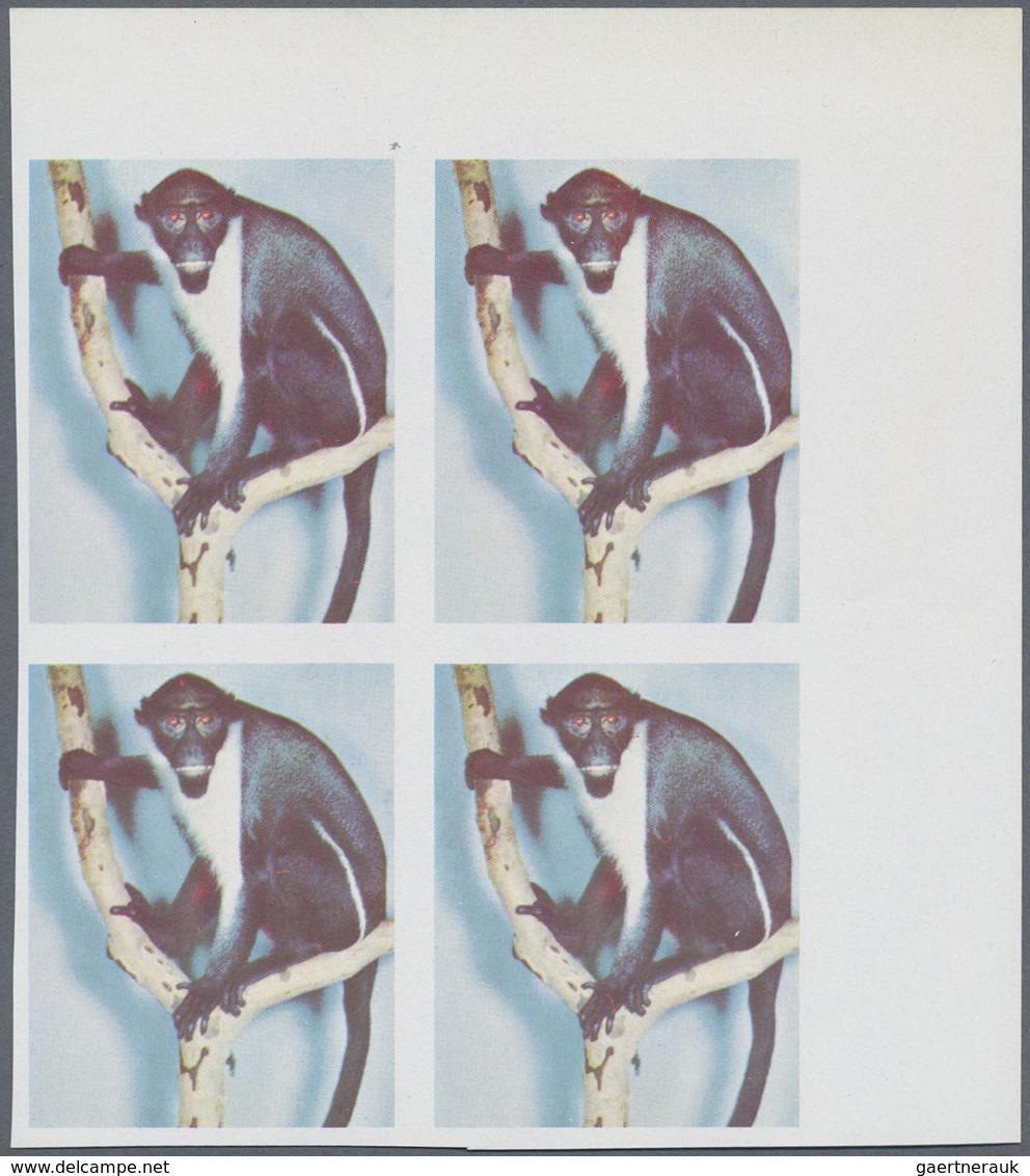 ** Schardscha / Sharjah: 1972, Monkey 75dh. 'mandrill' Imperf. Block Of Four From Upper Right Corner Wi - Sharjah