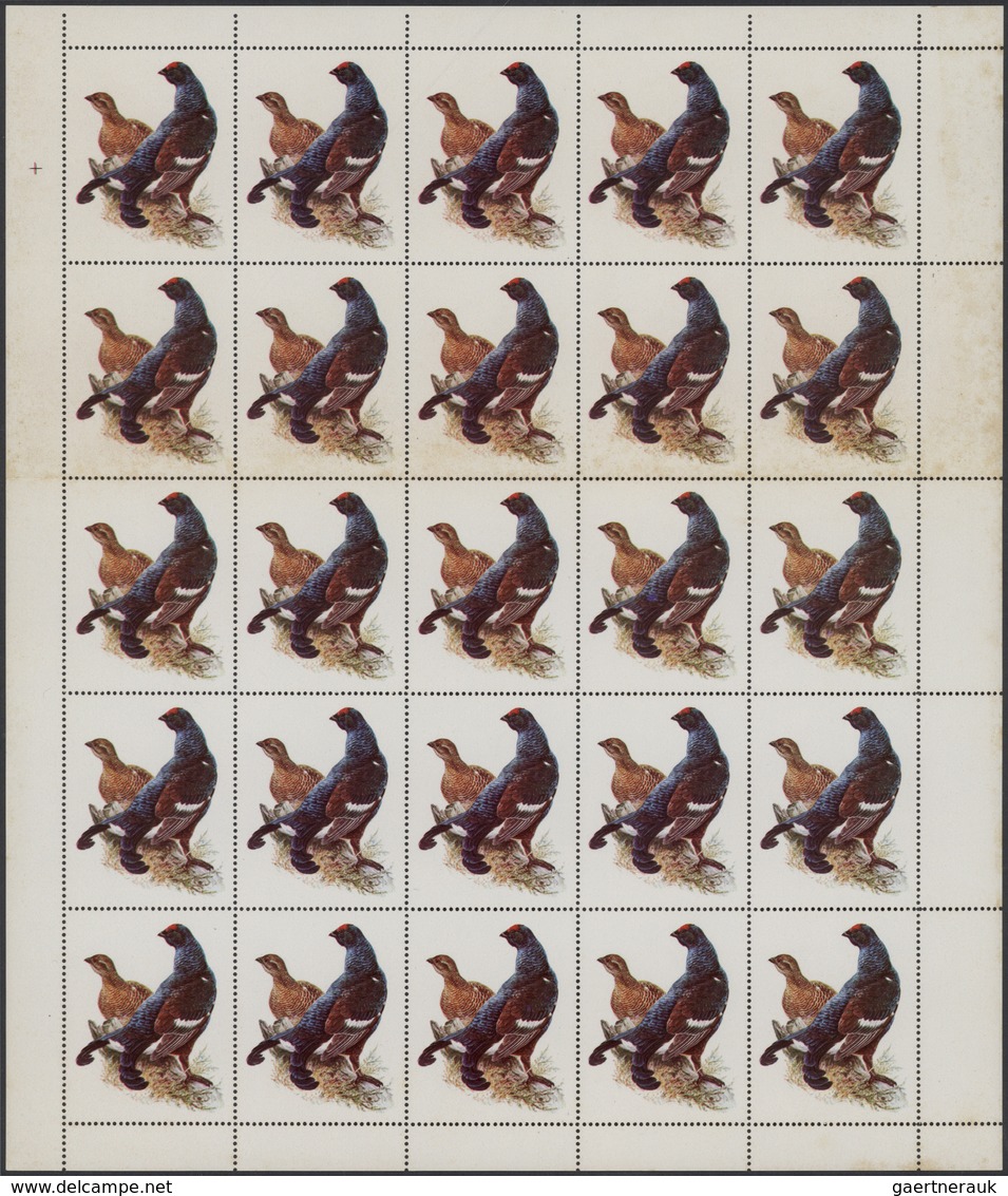 ** Schardscha / Sharjah: 1972, Birds, 20dh. "Black Grouse" Showing Variety "Missing Value And Country N - Sharjah