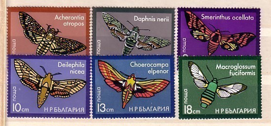 1975  BUTTERFLY ( Papillons )  6v.- MNH  BULGARIA / Bulgarie - Papillons