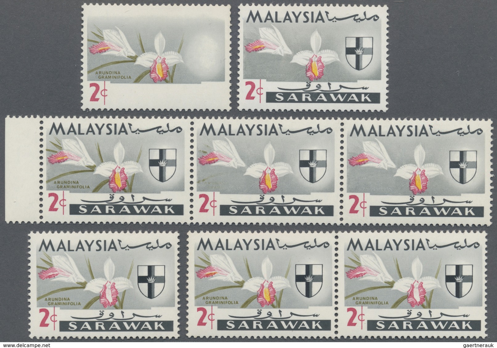 ** Malaiische Staaten - Sarawak: 1965, Orchids 2c. 'Arundina Graminifolia' Eight Stamps Incl. Single Wi - Andere & Zonder Classificatie