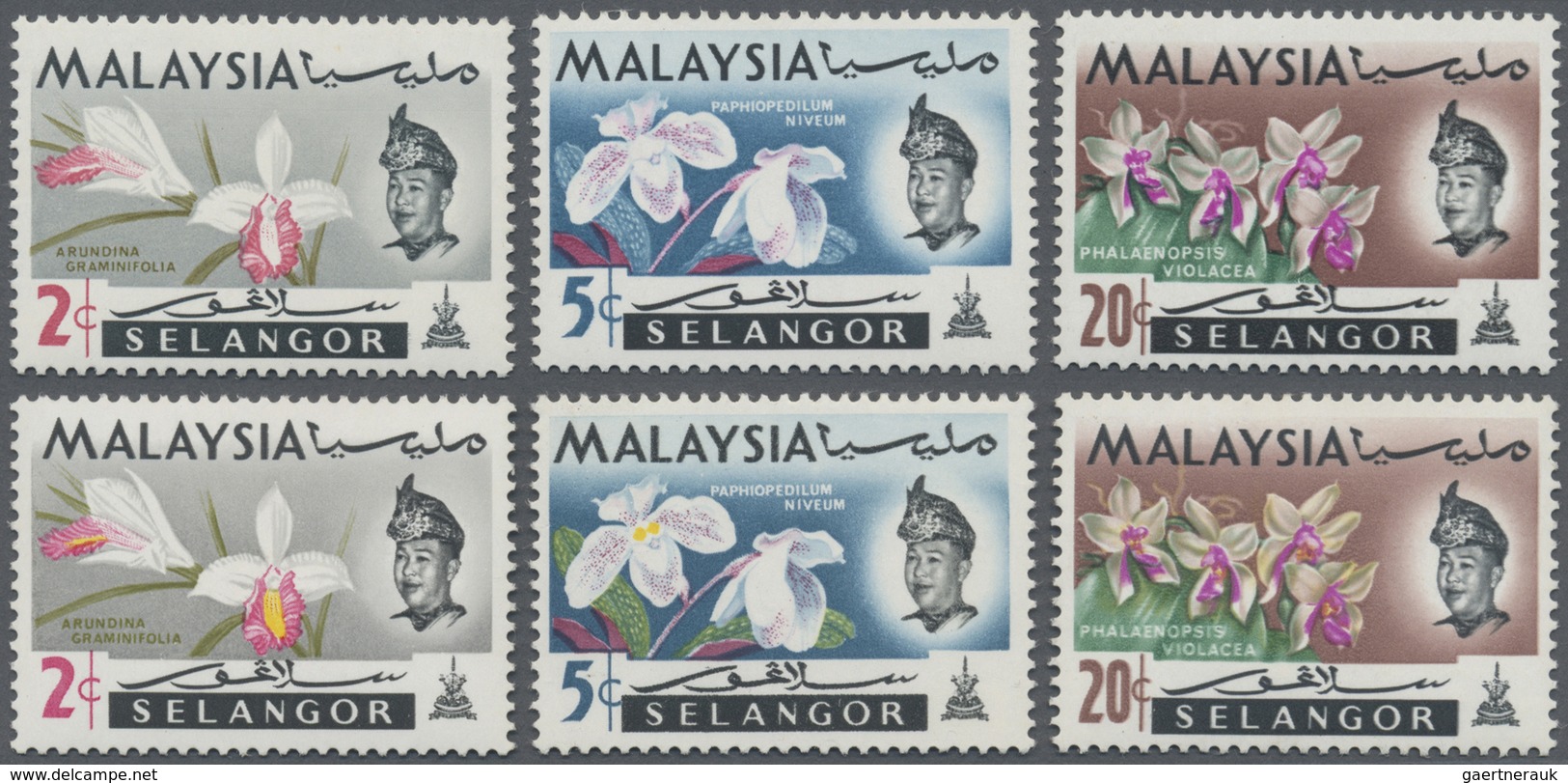 ** Malaiische Staaten - Selangor: 1965, Orchids 2c. 'Arundina Graminifolia', 5c. 'Paphiopedilum Niveum' - Selangor