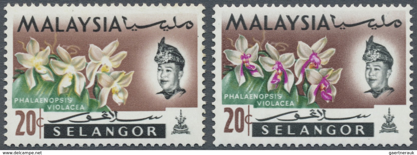 ** Malaiische Staaten - Selangor: 1965, Orchids 20c. 'Phalaenopsis Violacea' With BRIGHT PURPLE OMITTED - Selangor