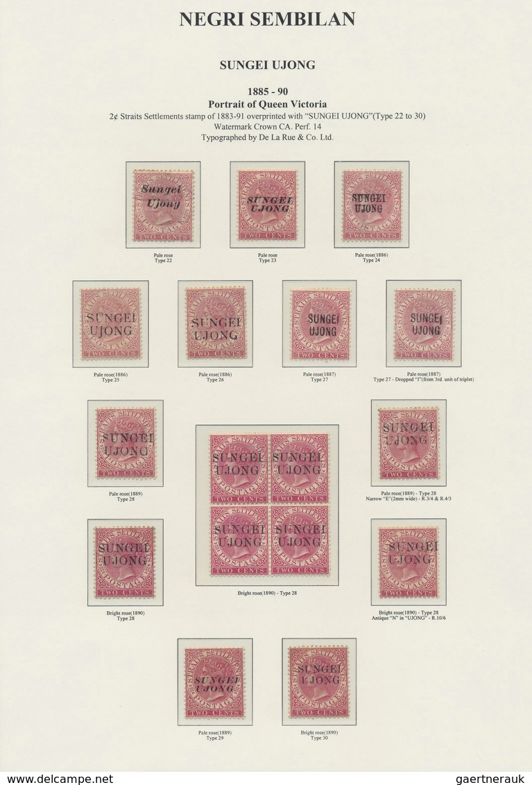 * Malaiische Staaten - Sungei Ujong: 1885-90 Set Of 17 Stamps 2c. Rose All Overprinted "SUNGEI/UJONG", - Other & Unclassified