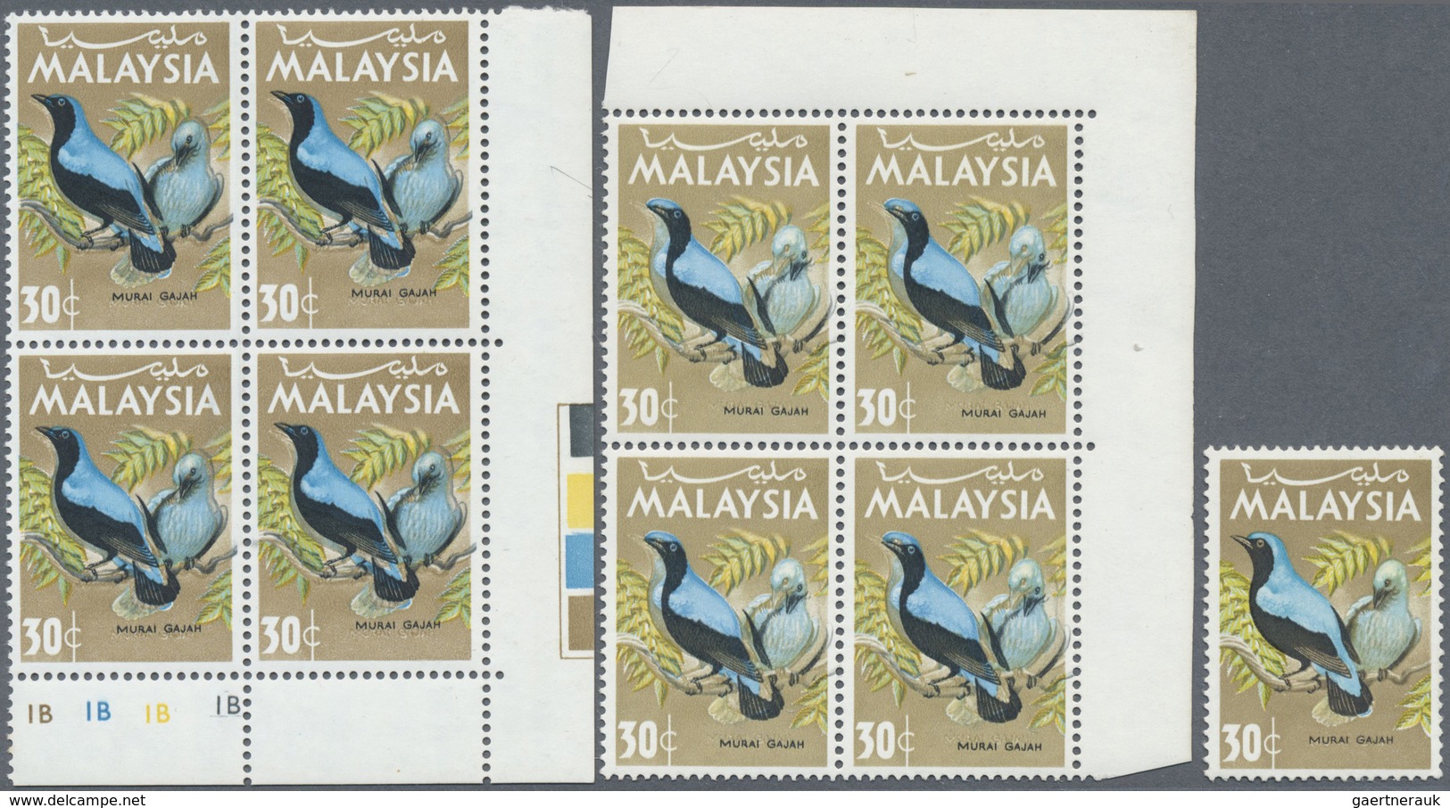 ** Malaysia: 1965, Birds 30c. 'Blue-backed Fairy Bluebird' (Irena Puella) With SHIFTED BLACK To Right I - Malaysia (1964-...)