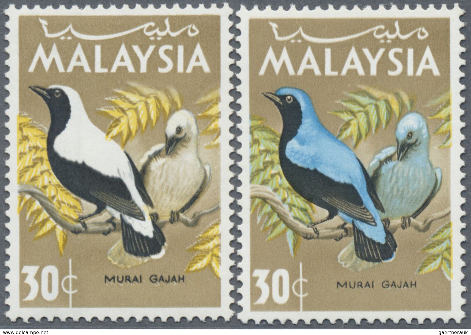 ** Malaysia: 1965, Birds 30c. 'Blue-backed Fairy Bluebird' (Irena Puella) With BLUE OMITTED (plumage) W - Maleisië (1964-...)