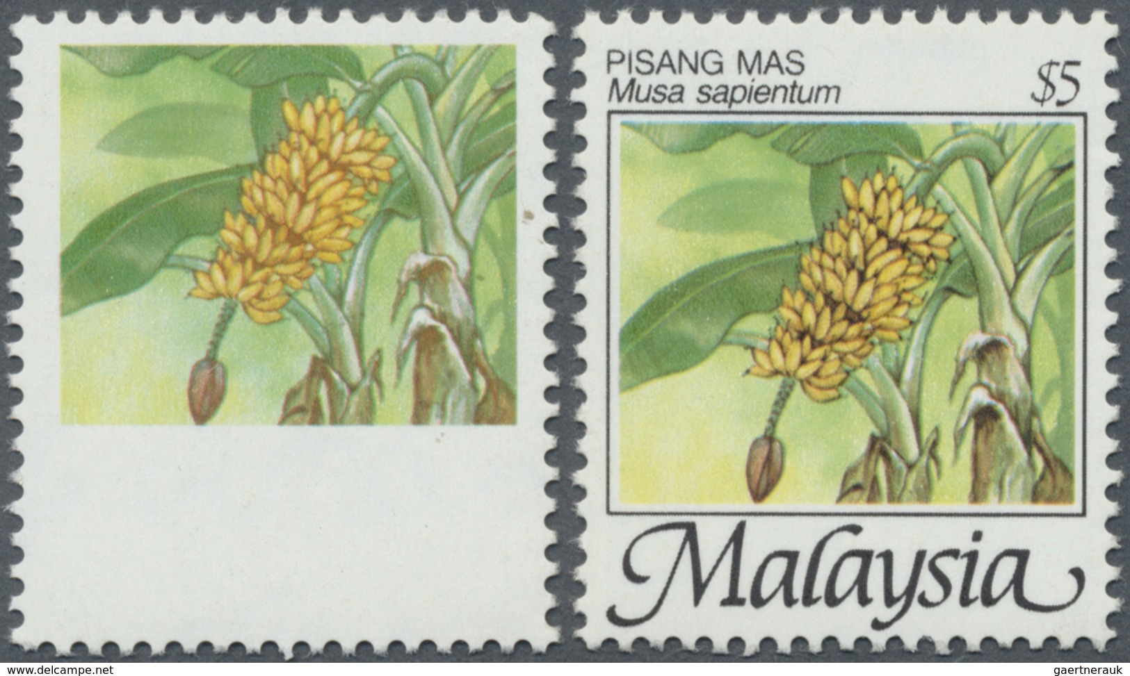 ** Malaysia: 1986, Fruits $5 'Banana' (Musa Sapientum) With BLACK OMITTED And Shifted Perforation To To - Maleisië (1964-...)