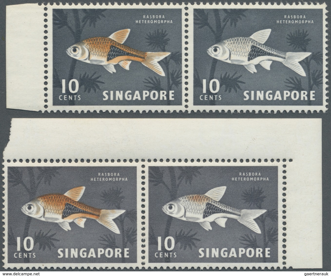 ** Singapur: 1962, Definitive Issue 10c. 'Harlequinfish' Two Horiz. Pairs Incl. One With RED-ORANGE OMI - Singapore (...-1959)