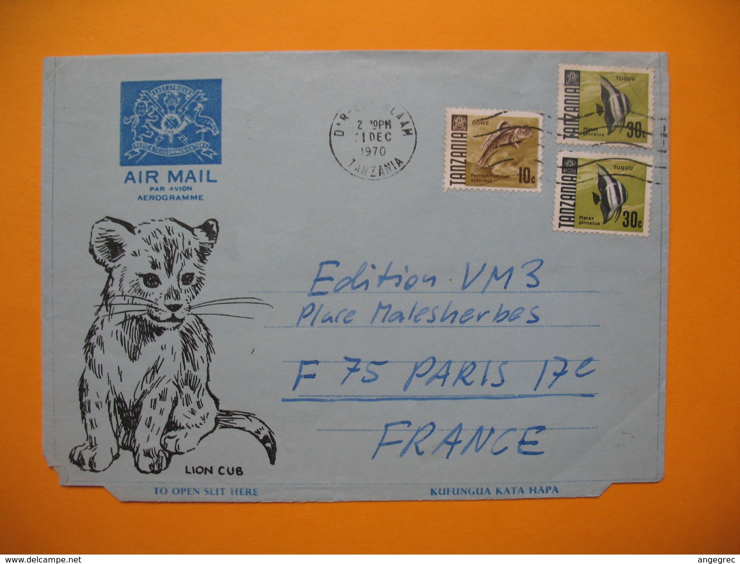 Lettre  Tanzanie - Salaam Aèrogramme Pour La France Le 31/12/1972 - Tanzanie (1964-...)